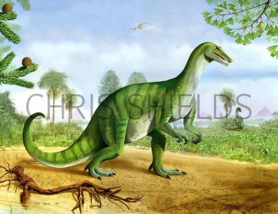 Illustration of Baryonyx walkeri (#1751)
