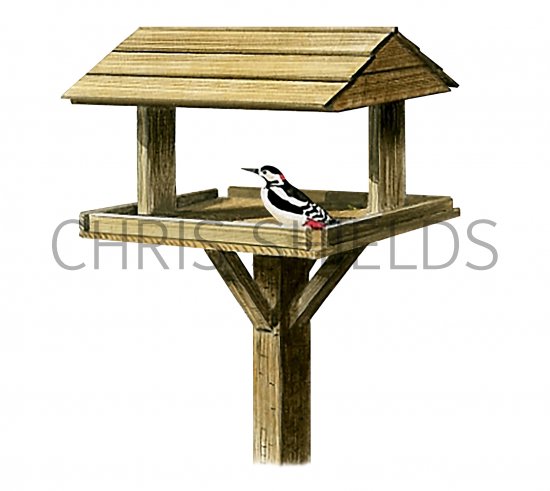 Illustration of Bird Table (#4322)