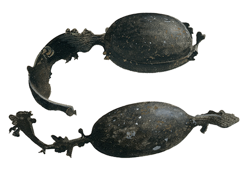 Illustration of Bladder Wrack (Fucus vesiculosis (Dried) (#2606)
