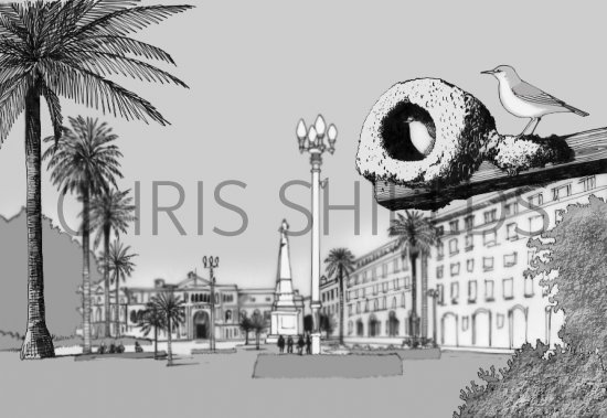 Illustration of Oven Bird (Furnarius rufus) (#0449)