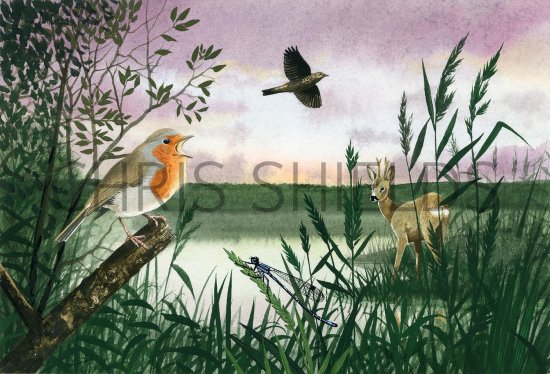 Illustration of Dawn (#2609)