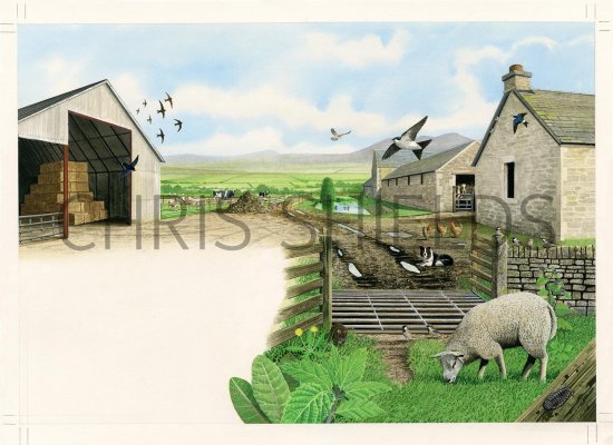Illustration of Farmyard (#3214)