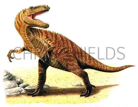 Illustration of Gigantosaurus (#0086)