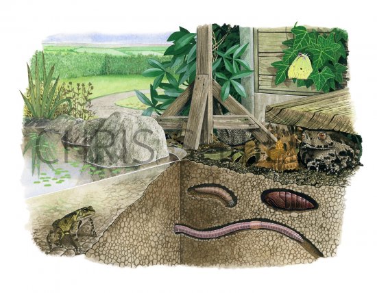 Illustration of Hibernation (#2889)