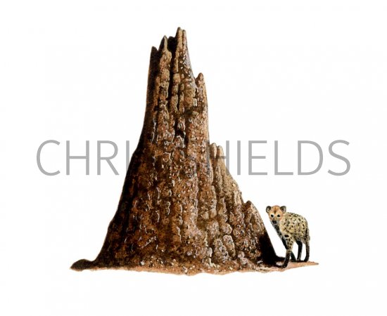 Illustration of Termite Mound & Spotted Hyena (#0575)