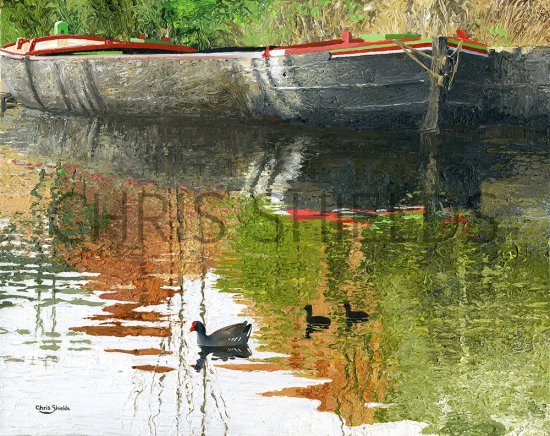 Illustration of Moorhens on Manchester Canal (#4104)
