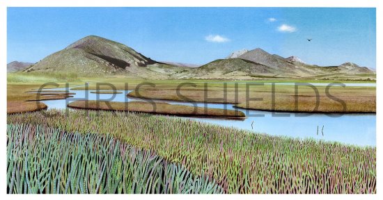 Illustration of Morro Bay California (#3782)