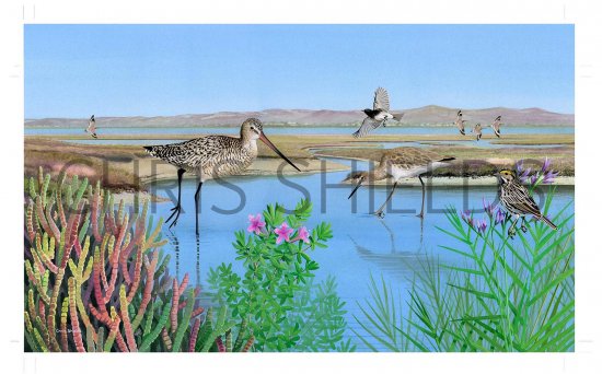 Illustration of Morro Bay California (#3783)