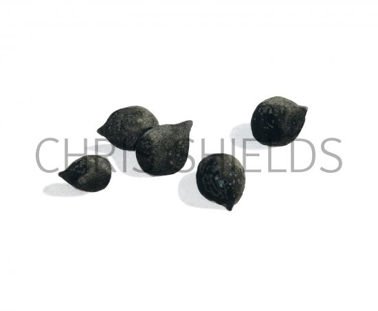 Illustration of Rabbit Droppings (#2941)