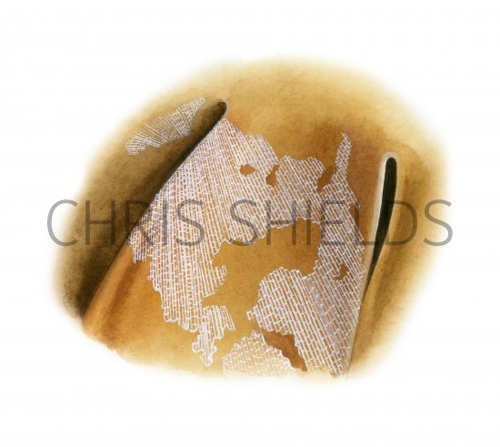 Illustration of Sea Mat (Bryozoan) (#4279)