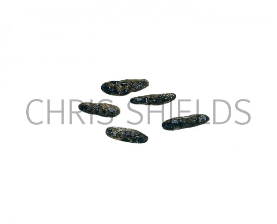Illustration of Shrew droppings (#2797)