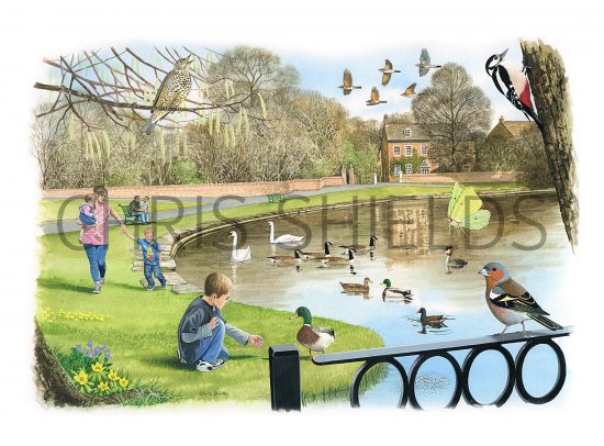 Illustration of Urban Lake Scene (#3347)