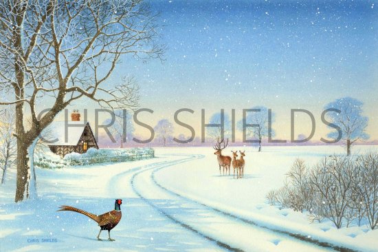 Illustration of Winter Snow Scene (#0518)