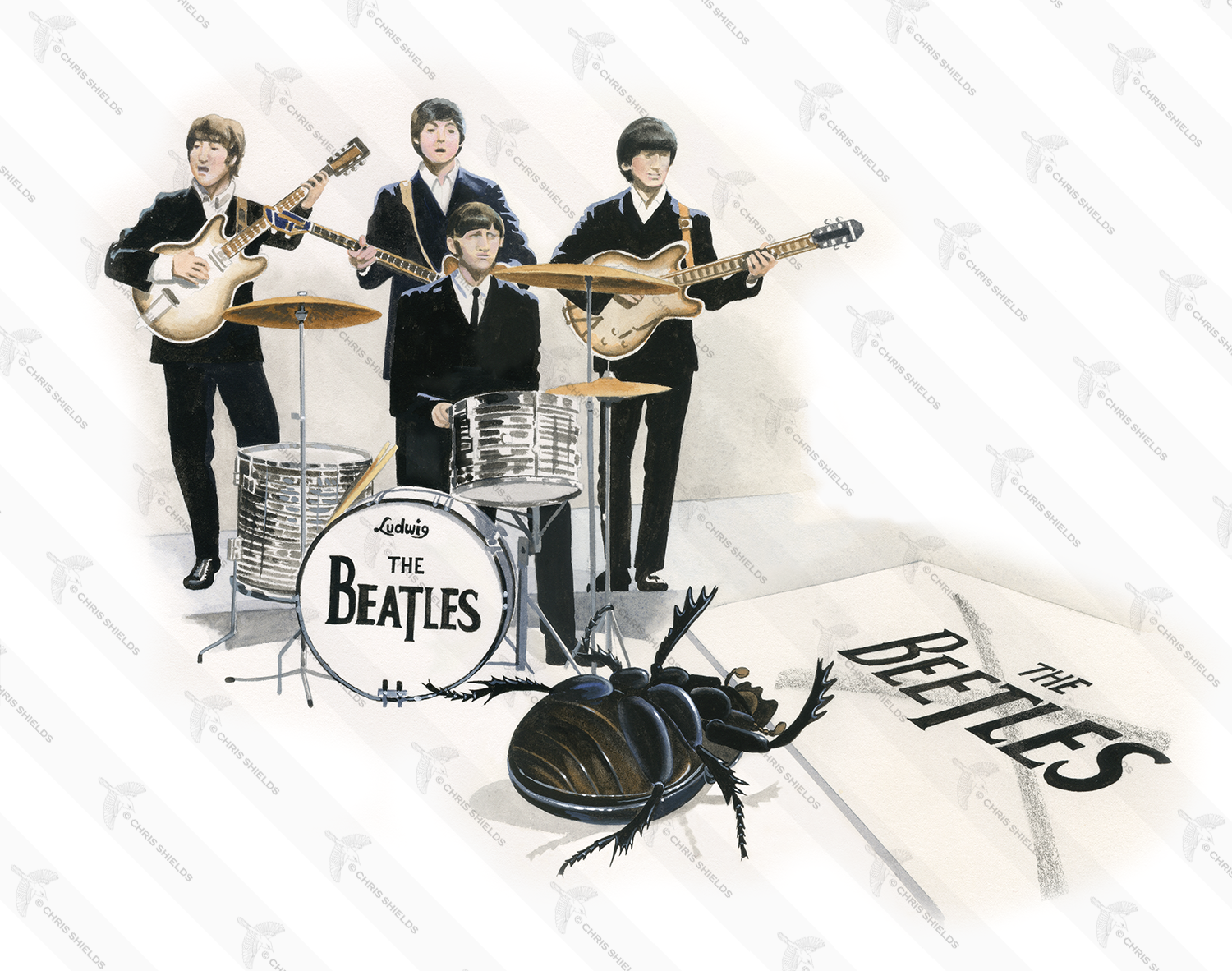 Illustration of Dung Beetle-Beatles (#4763)
