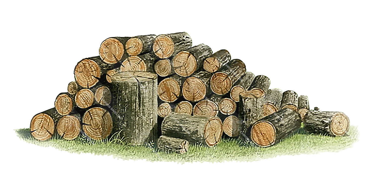 Illustration of Log Pile (#3260)