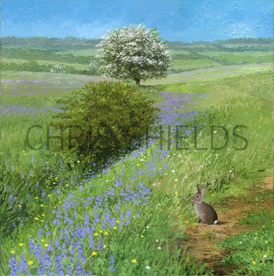 Illustration of Spring in the Peak District (#4088)
