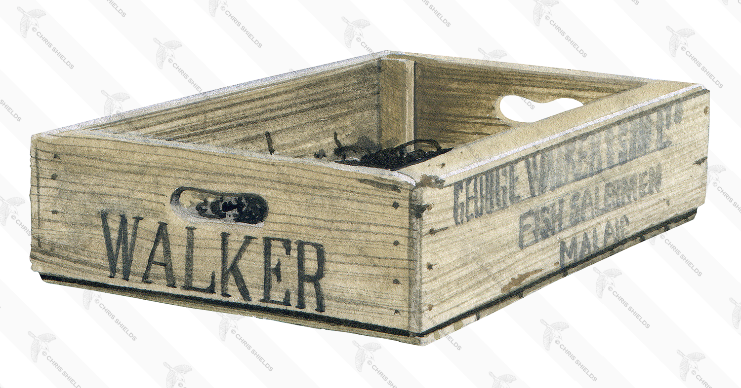 Illustration of Strandline driftwood (#0983)