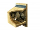 Illustration of Bat Box (#0578)