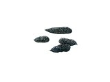 Illustration of Bat Droppings (#2795)