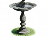 Illustration of Bird Bath (#4316)