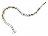 Illustration of Biting Midge Larvae (Culicoides) (#4105)