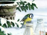 Illustration of Blue Tit on milk bottle (Parus caeruleus) (#0543)