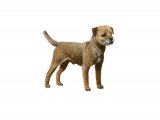 Illustration of Border Terrier (Canis lupus familiaris) (#3752)