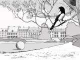 Illustration of Magpie (Pica pica) (#0451)