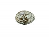 Illustration of Crow egg (Corvus corone) (#3284)