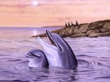 Illustration of Dolphin (Bottle Nosed) Tursiops truncatus (#0879)