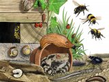 Illustration of Garden Mini Bugs (#4314)