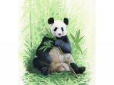 Illustration of Giant Panda (Ailuropoda melanoleuca) (#3745)