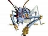 Illustration of Giant Weta (Deinacrida spp.) (#1172)