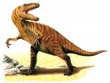 Illustration of Gigantosaurus (#0086)