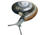 Illustration of Glass Snail (Oxychilus draparnaudi) (#2521)