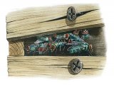 Illustration of Greenbottle Fly (Lucillia sp.) (#2723)