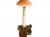 Illustration of Hebeloma aestivale (#3578)