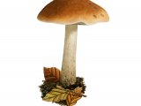 Illustration of Hebeloma theobrominum (#3589)