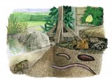Illustration of Hibernation (#2889)