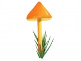 Illustration of Hygrocybe persistens var. persistens (Persistent Waxcap) (#3733)