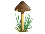 Illustration of Hygrocybe spadicea (Date Waxcap) (#3732)