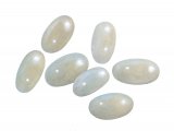 Illustration of Flea Eggs (#4096)