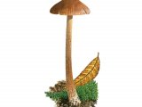 Illustration of Inocybe acuta (#3528)