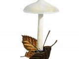 Illustration of Inocybe geophylla (White Fibrecap) (#3546)