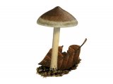 Illustration of Inocybe petiginosa (Scurfy Fibrecap) (#3549)