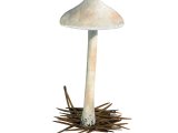 Illustration of Inocybe whitei (Blushing Fibrecap) (#3540)