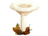 Illustration of Lactarius piperatus (Peppery Milkcap) (#1932)