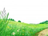 Illustration of Landscape wih Flowers (#3186)