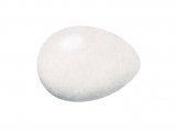 Illustration of Lesser Spotted Woodpecker egg (Dryobates minor) (#3297)