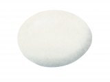 Illustration of Long-eared Owl egg (Asio otus) (#3280)